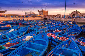 Excursion à Essaouira avec plage et médina