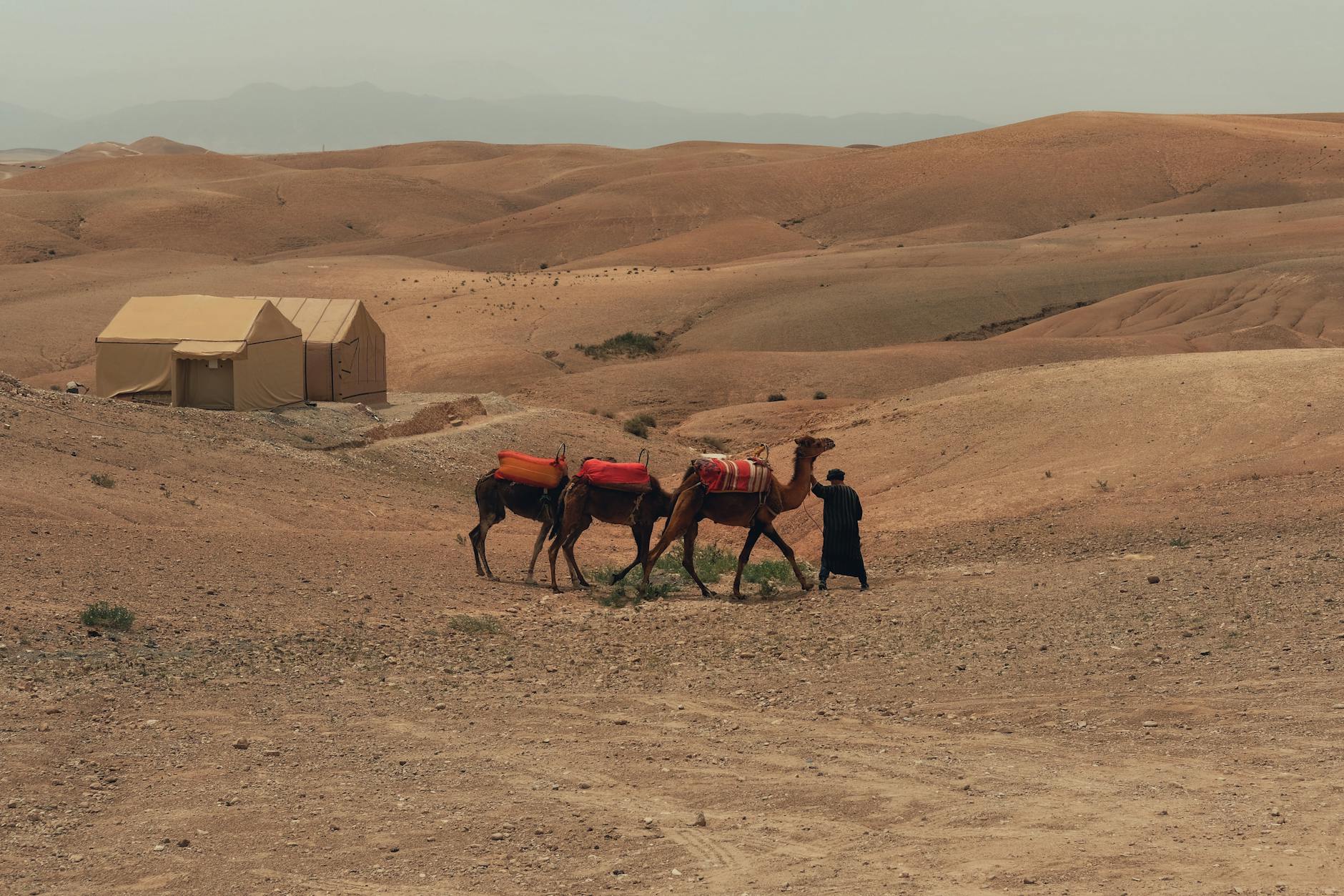 Circuit de luxe de 3 jours à Merzouga - photo 3
