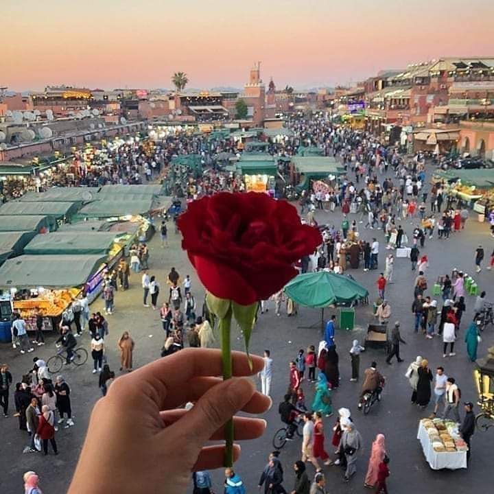 Marrakech en un jour : guide rapide de la ville