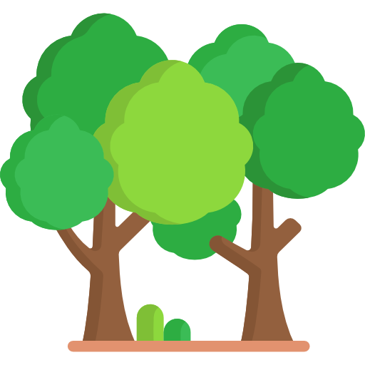 Forêt