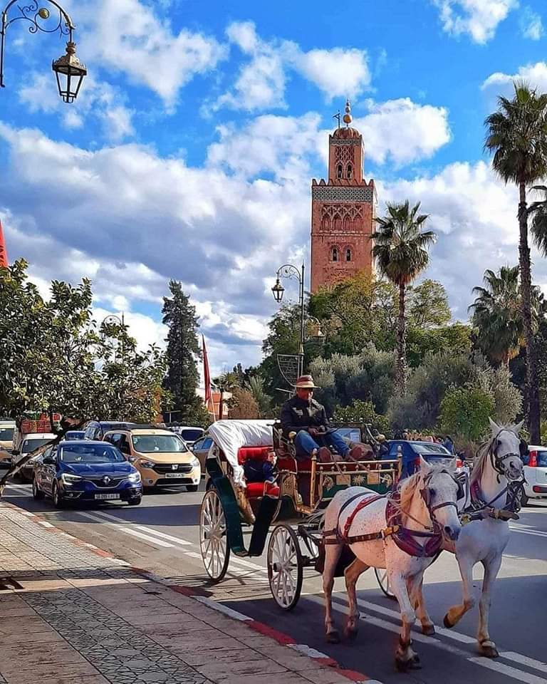 JOUR 1 : DEPART DE MARRAKECH