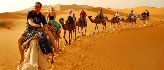 Jour 6 – Zagora → Marrakech (360 km, ~5h50)